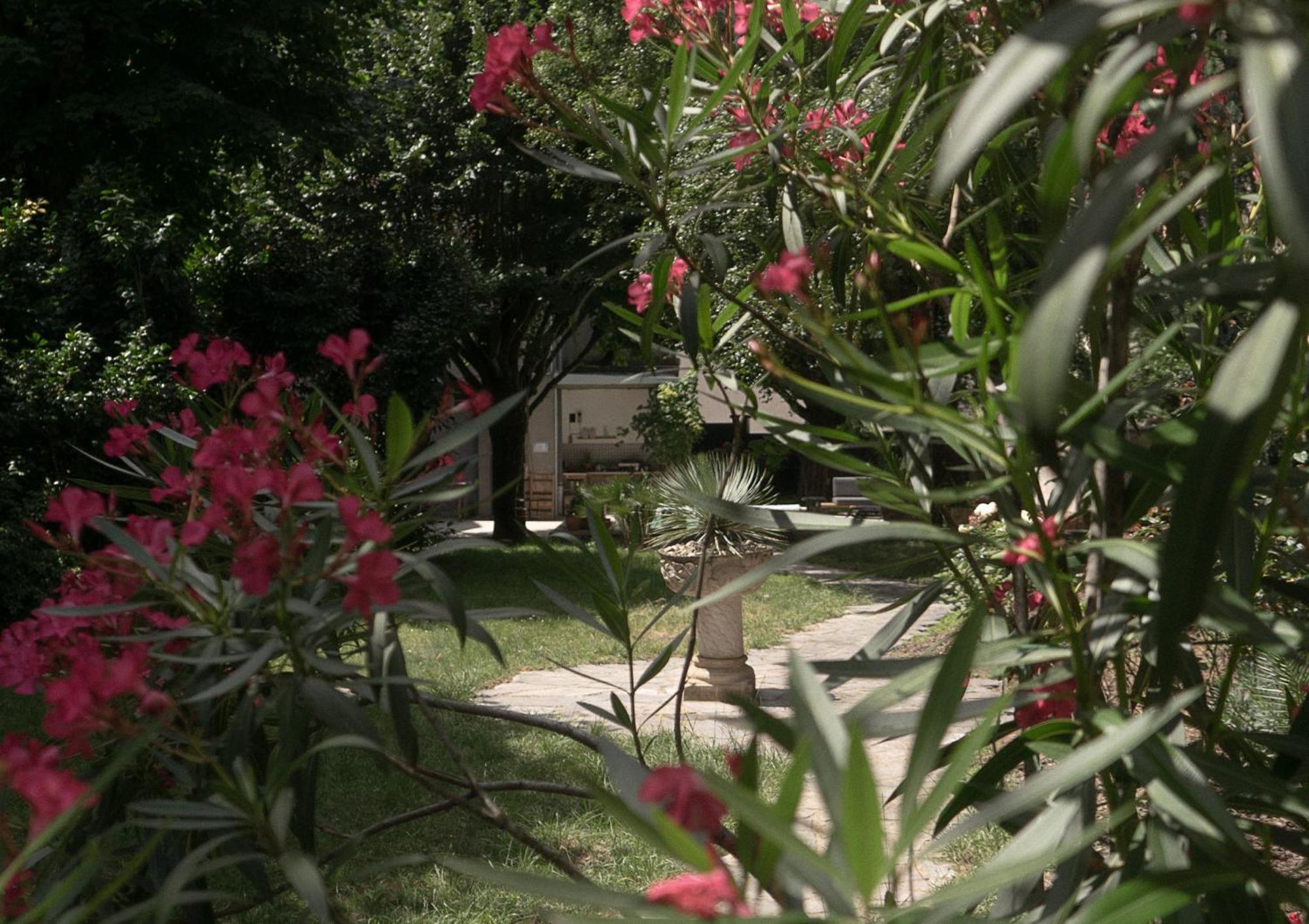 Residence Midi Mazamet Exterior foto